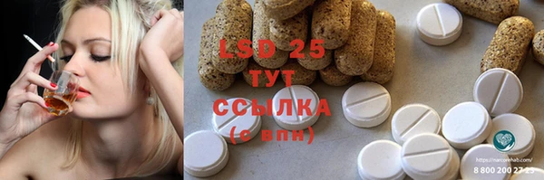 прущие грибы Алексеевка