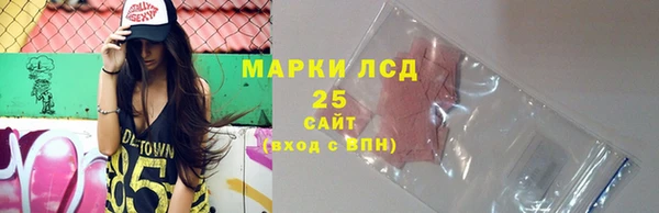 прущие грибы Алексеевка