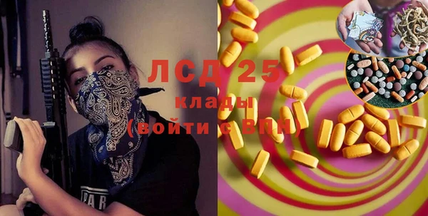 прущие грибы Алексеевка