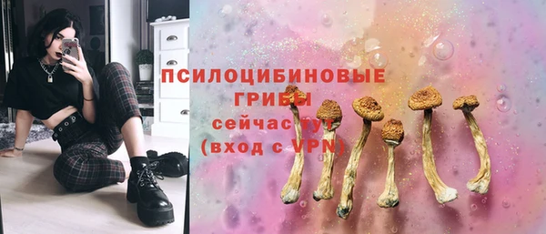 прущие грибы Алексеевка